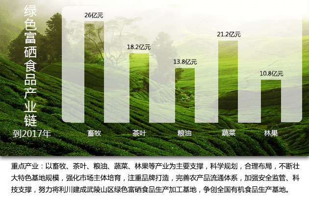 补硒是国家战略