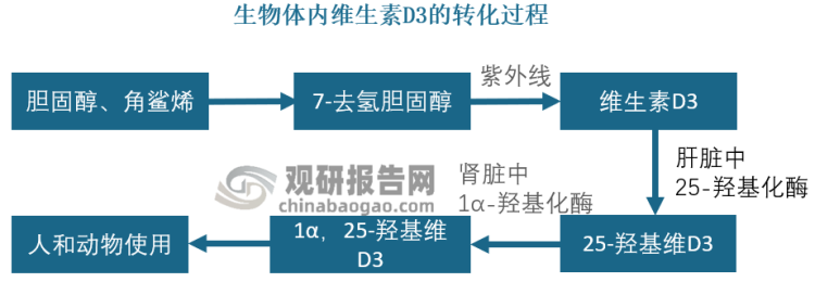 补硒后嘴唇发红