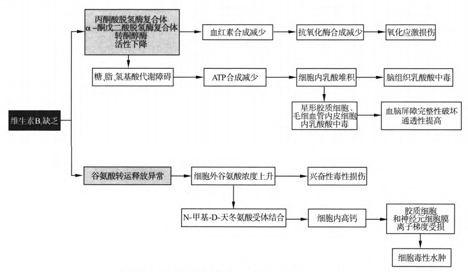 补硒后嘴唇发红