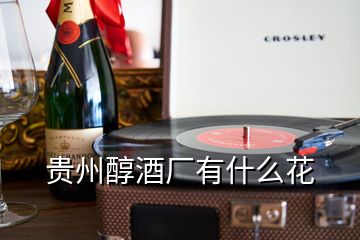 贵州醇酒厂有什么花