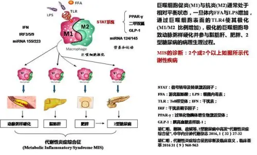 补硒杀死癌细胞