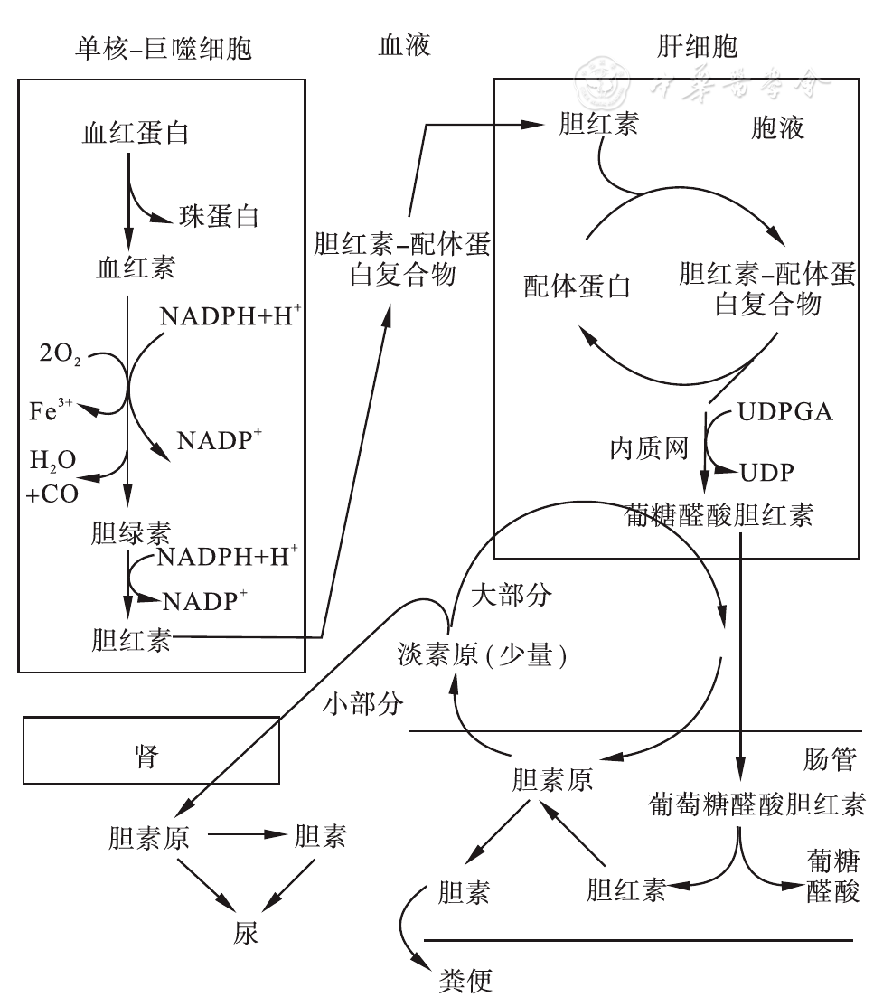 补硒杀死癌细胞