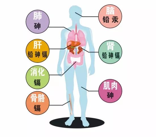 补硒的含量多少