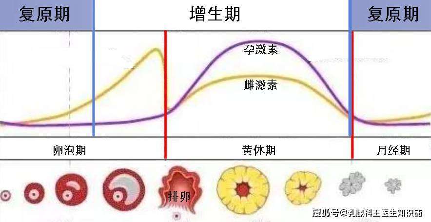 乳腺结节要补硒