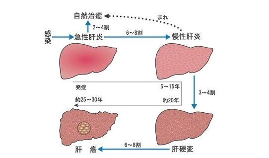 谷氨酰高 补硒