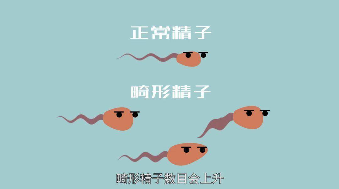 精子畸形率补硒