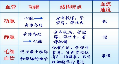 化验微量元素需要空腹吗