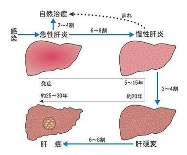 肝炎补硒副作用