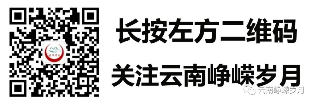 补硒所致糖尿病