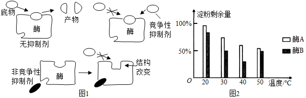 怎样能补硒和肽