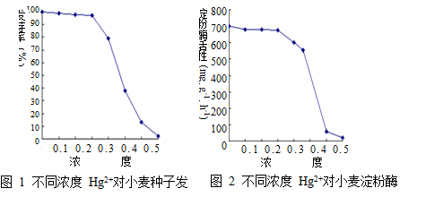 怎样能补硒和肽