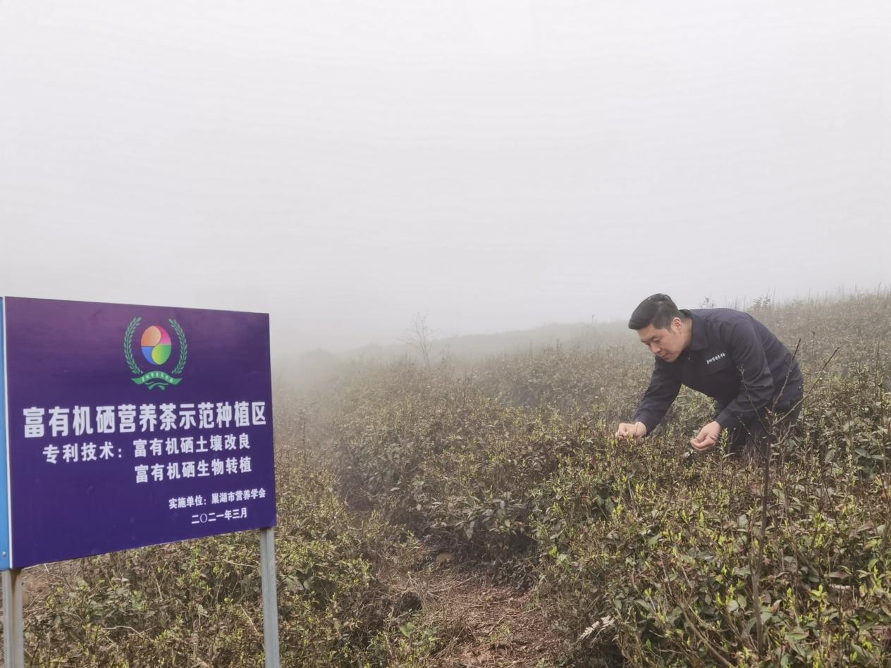 巢湖市科学补硒