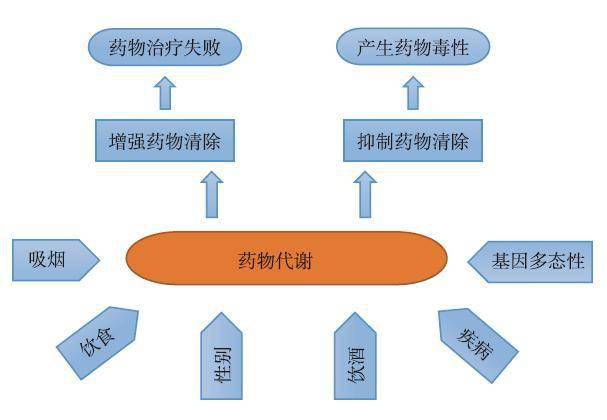 补硒对身体改善