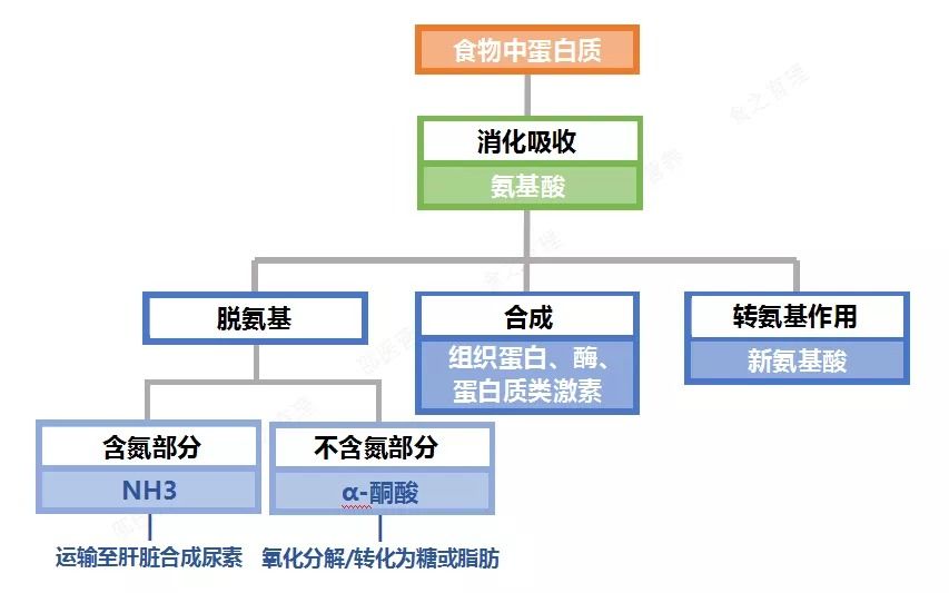 补硒对身体改善