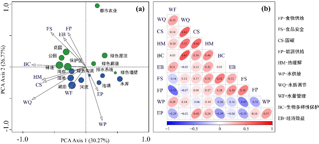 补硒的科学方法