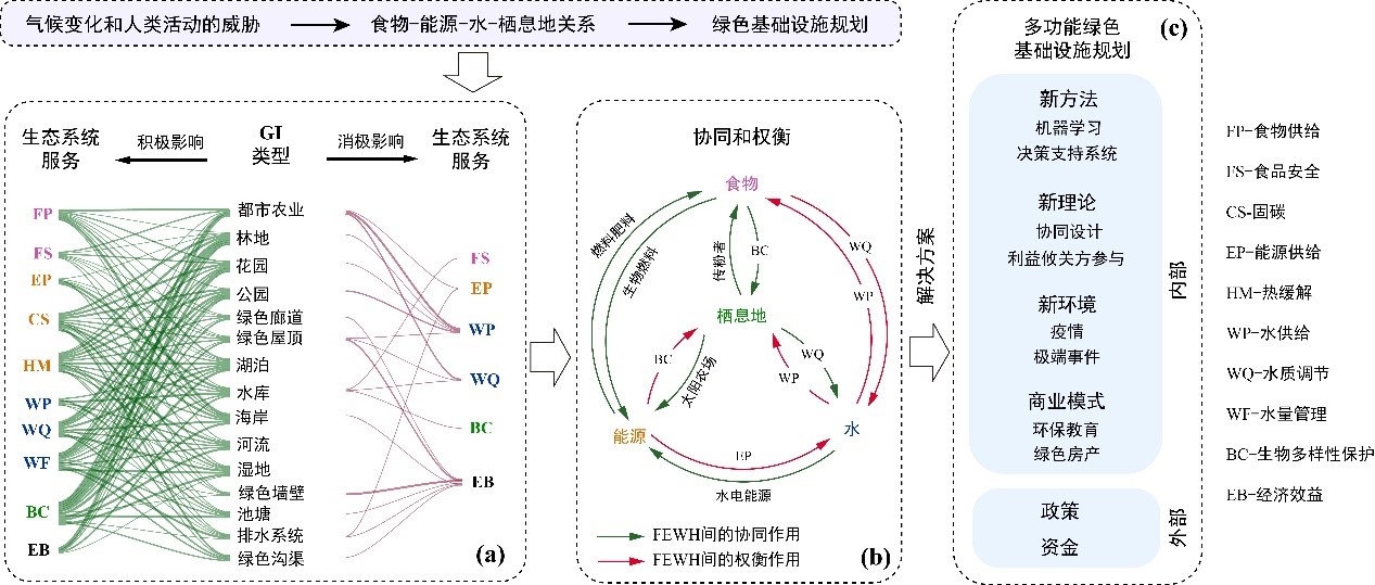 补硒的科学方法