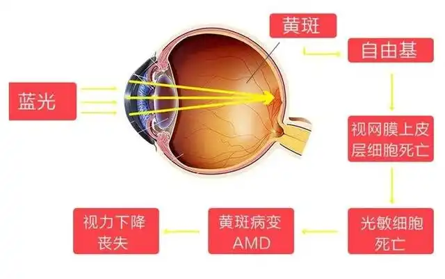 文章图片8