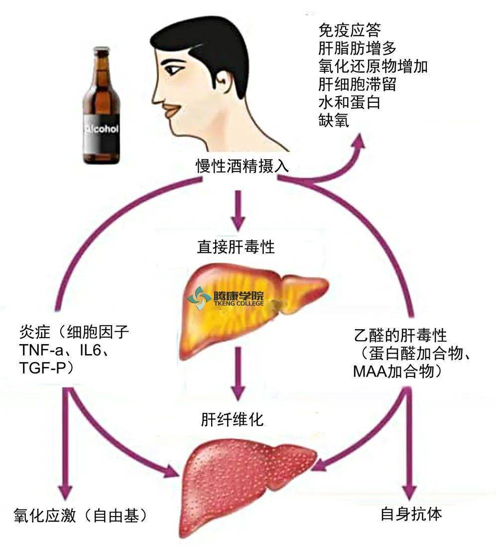 补硒喝酒可以吗