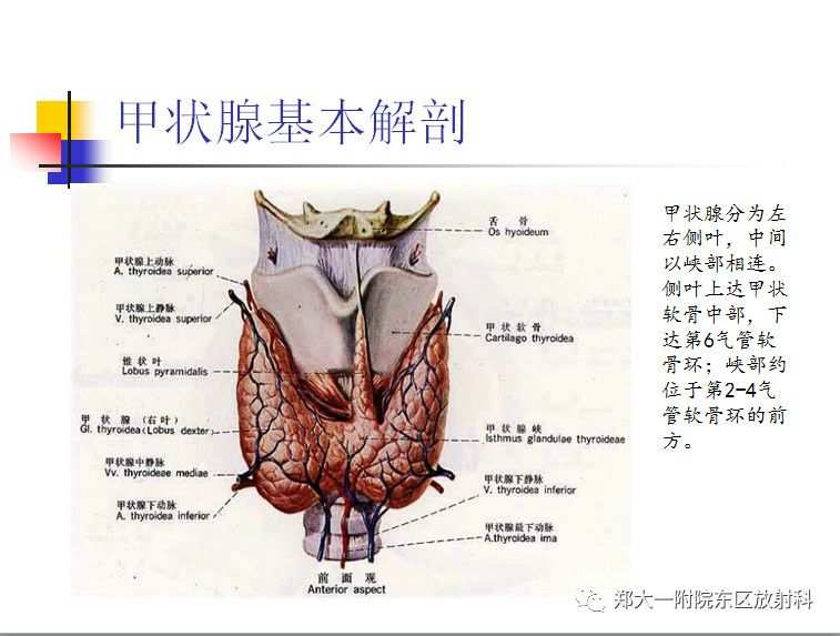 乳腺癌需要补硒