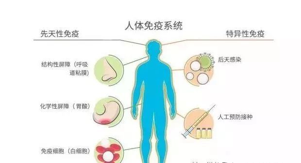 王治伦教授补硒