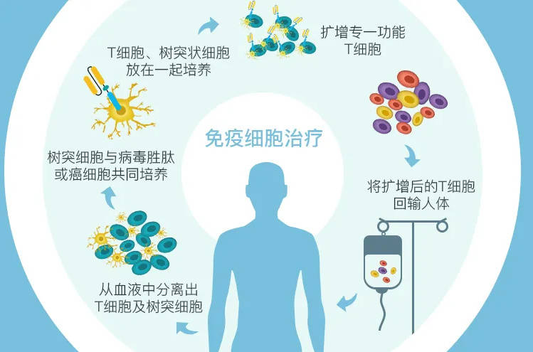 硒到底要不要补