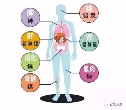 重金属超标补硒