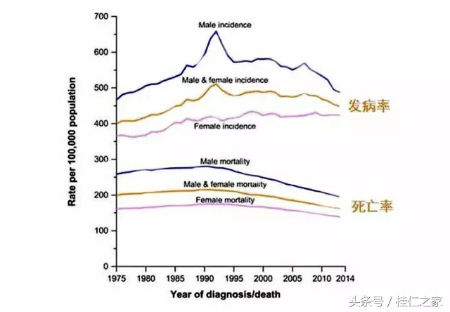 卵巢癌如何补硒