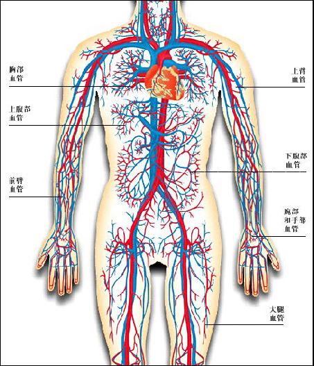 冠心病要补硒吗