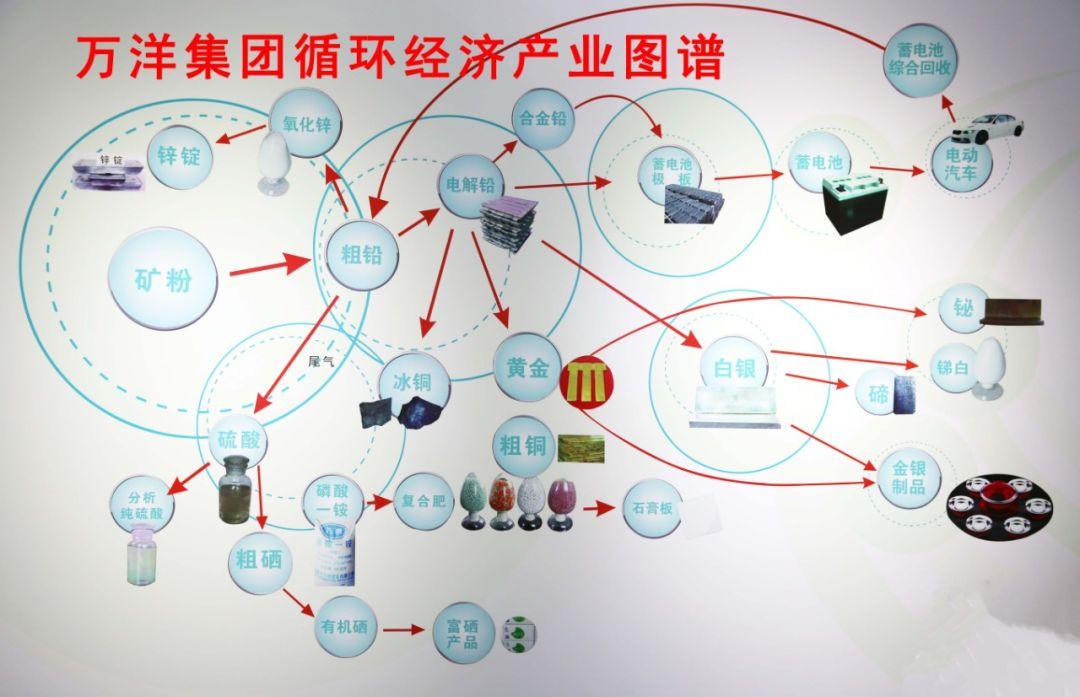 杭州补硒工作室