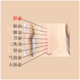 补硒后月经不调