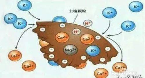 缺钾锌硒怎么补