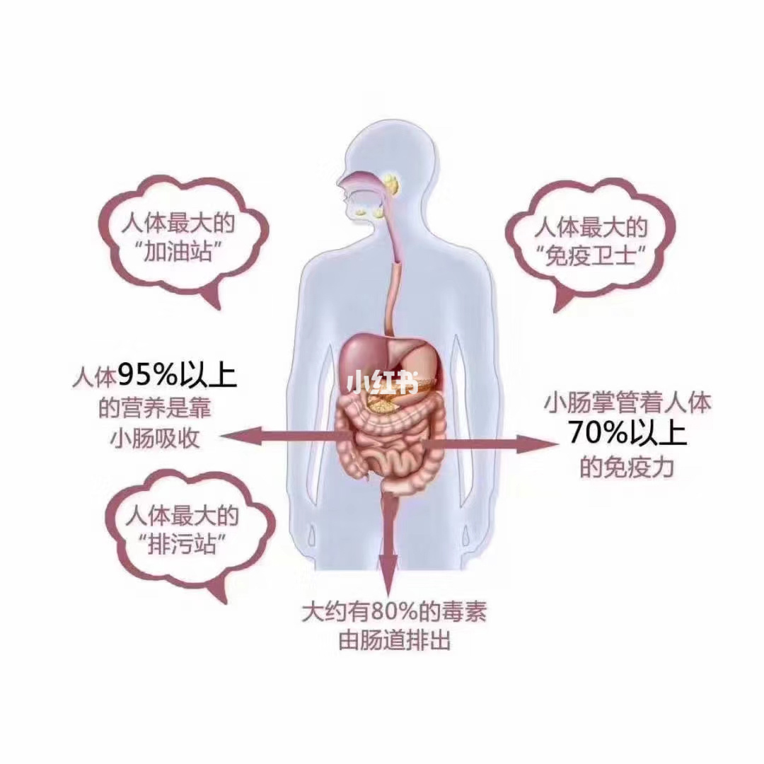 补硒对肝肾好吗