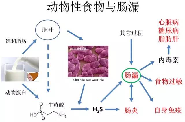 吃植物补硒够吗