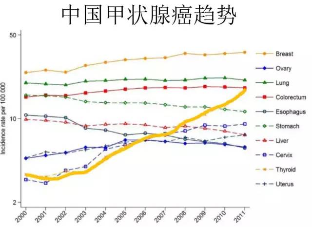 吃植物补硒够吗