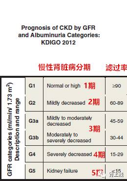 肾功能不全补硒