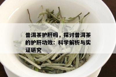 普洱茶护肝吗，探讨普洱茶的护肝功效：科学解析与实证研究