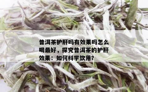 普洱茶护肝吗有效果吗怎么喝更好，探究普洱茶的护肝效果：如何科学饮用？