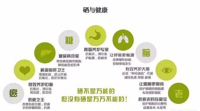 科学补硒下一句