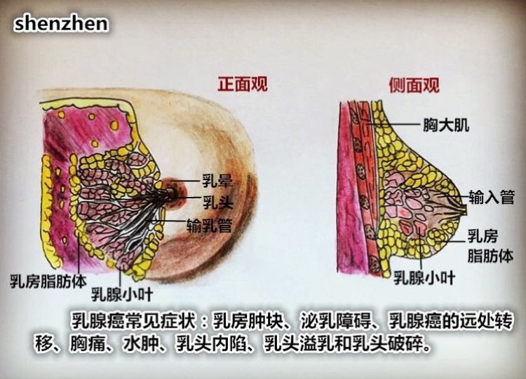 鱼鳞病能补硒吗