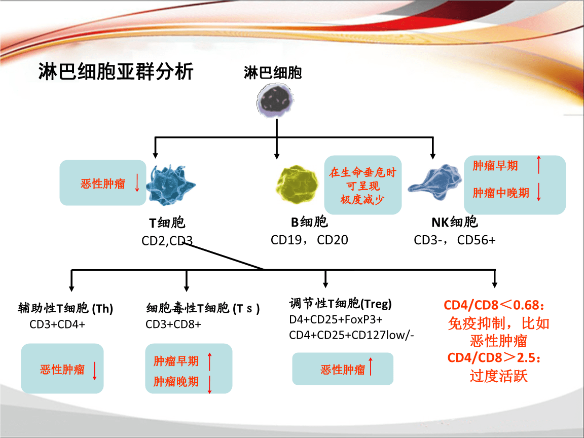 锌和硒补什么的