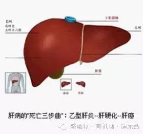 老年人需补硒吗