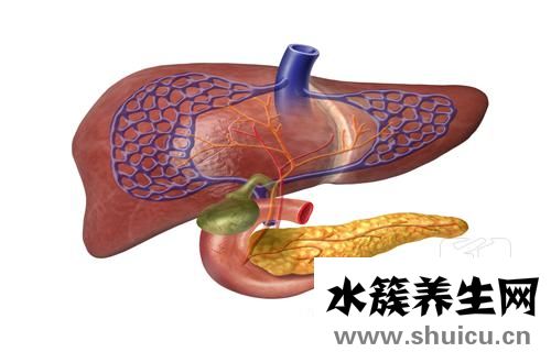 肝有问题