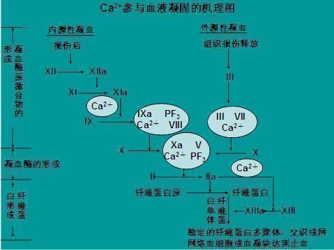 补硒对维生素D