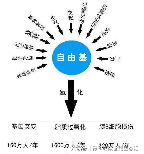 补硒会血压高吗