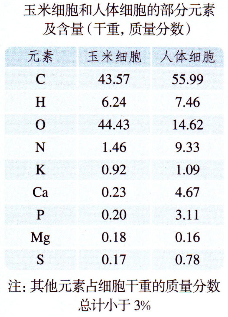 羊怎么样能补硒