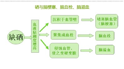 脑梗补硒可以吗