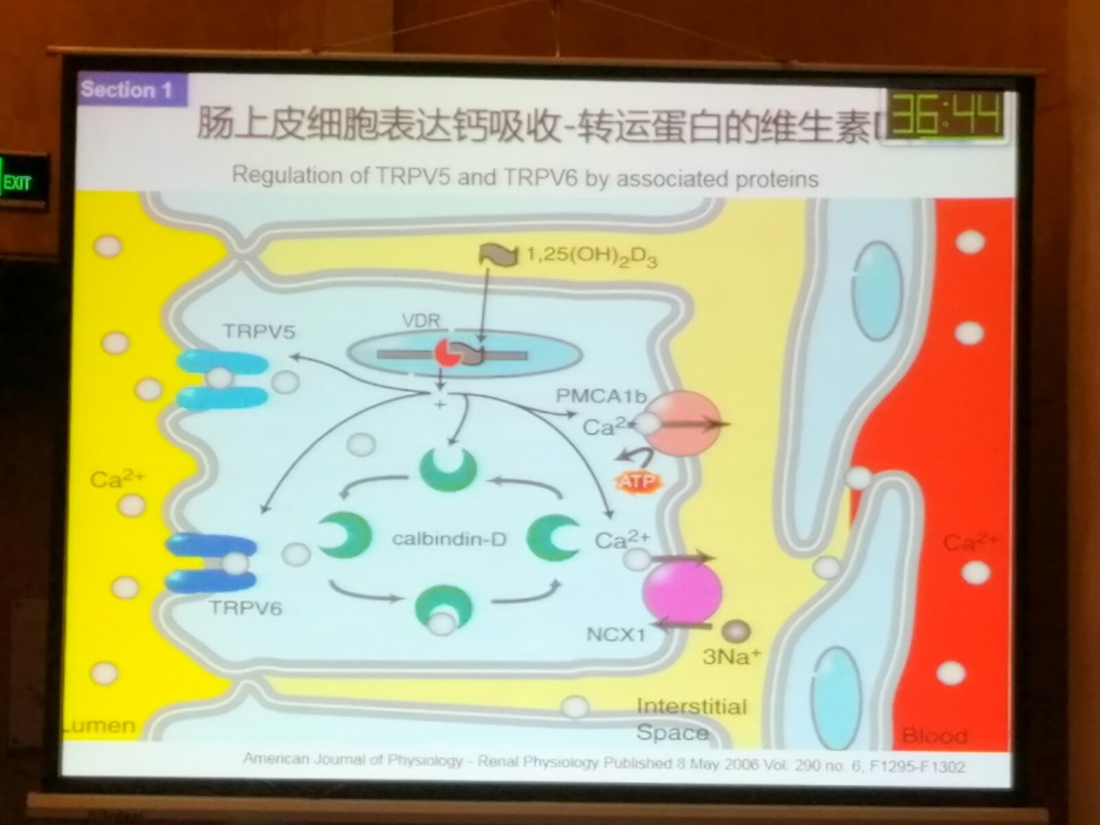 钙锌硒三样同补