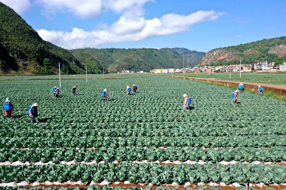 富硒产品的远景