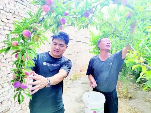 富硒农产品采摘