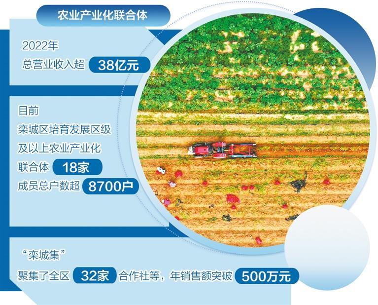 富硒农产品推广